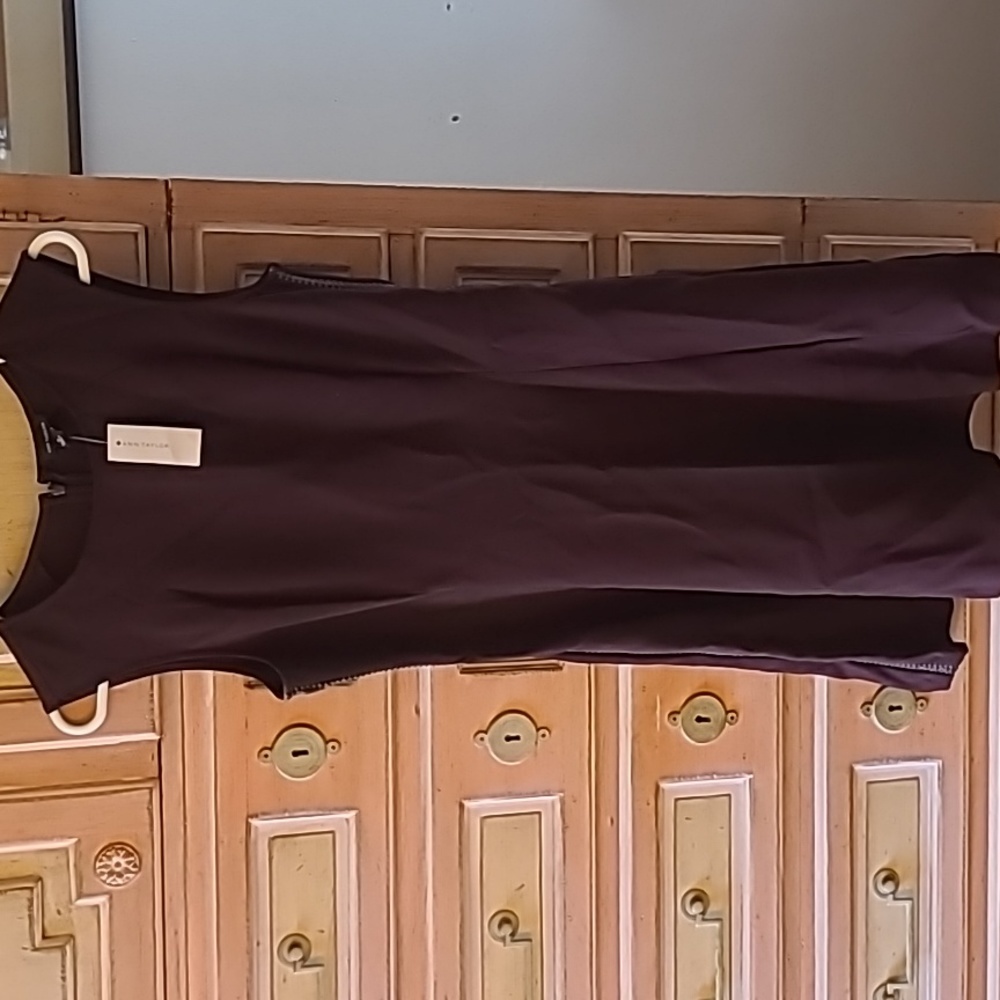 Ann Taylor Size 6 Women's Sleeveless Dress (with tags)